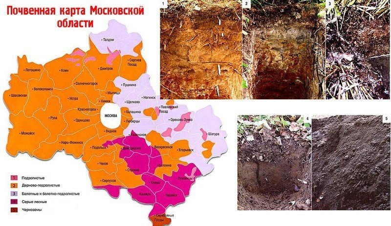 Карта почв московской области подробная