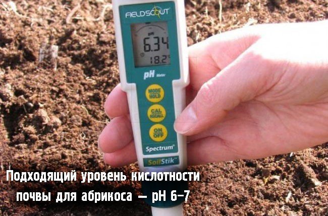 Прибор ph метр для измерения кислотности почвы toledo metller