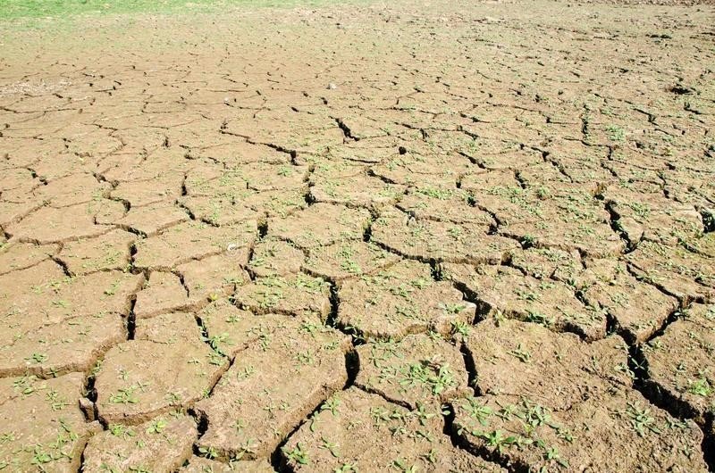 Защита почвы от засухи