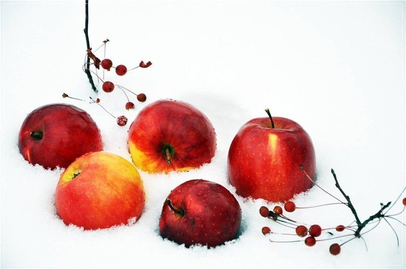 Красное яблоко на белом снегу арт