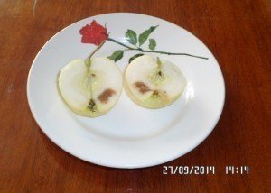 Яблоко со сливками