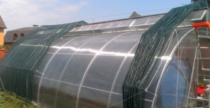 Защита теплицы из поликарбоната от солнца