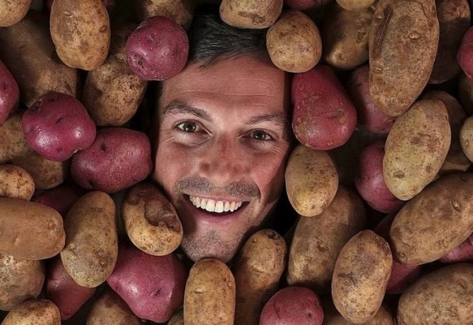 Человек картошка