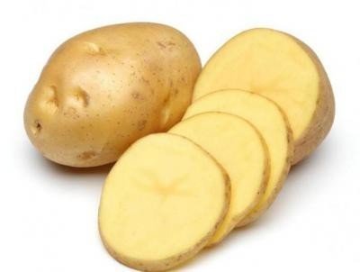 Картофель сорт капри