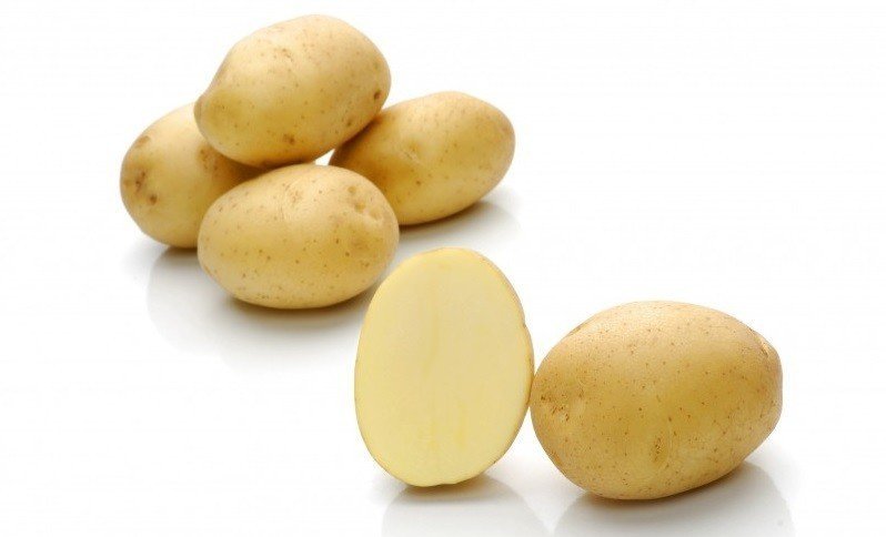 Сорт картофеля зекура