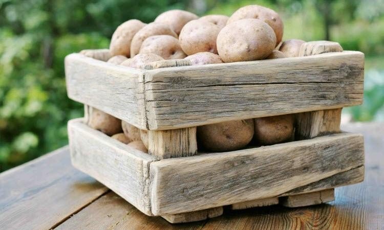 Ящик для картофеля