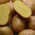 Описание и характеристика картофеля сорта Невский, правила посадки и ухода