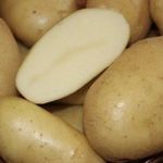 Описание и характеристика сорта картофеля Крепыш