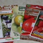 Как вырастить качественную рассаду томатов