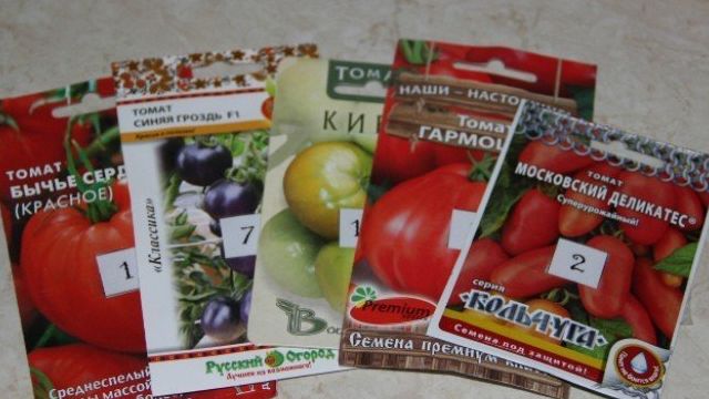 Выращивание рассады томатов от А до Я
