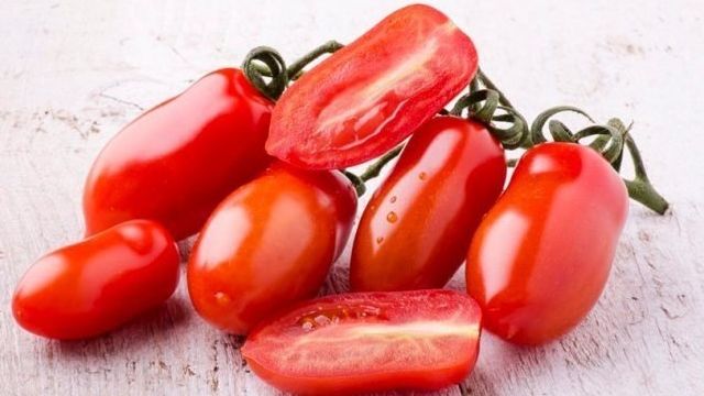Томат Гаспачо: характеристика и описание сорта, видео и фото куста, отзывы тех кто сажал помидоры об их урожайности