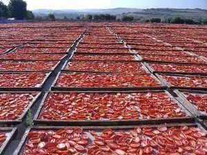 Вяленые помидоры в домашних условиях