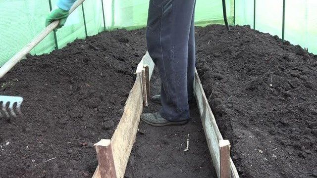 Подготовка почвы в теплице под помидоры весной