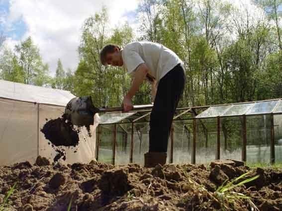 Мужик копает огород