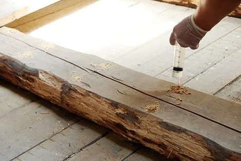 Средства борьбы с короедом в деревянном доме