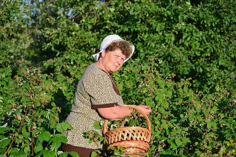 Фотосессия пожилых женщин в саду