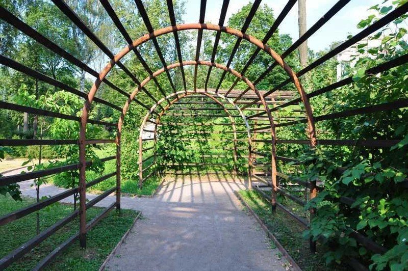 Летний сад в санкт петербурге