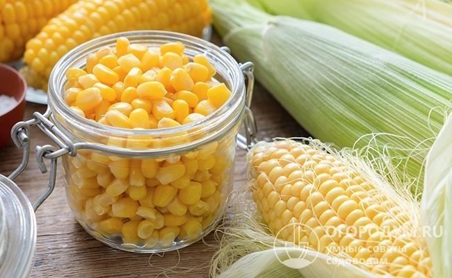 Консервированная кукуруза в блендере