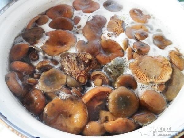 Маслята грибы вареные