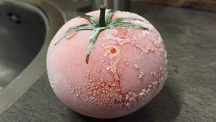 Размороженные помидоры