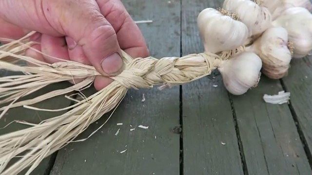 Как связать чеснок для хранения: способы плетения косы, схема, условия, видео